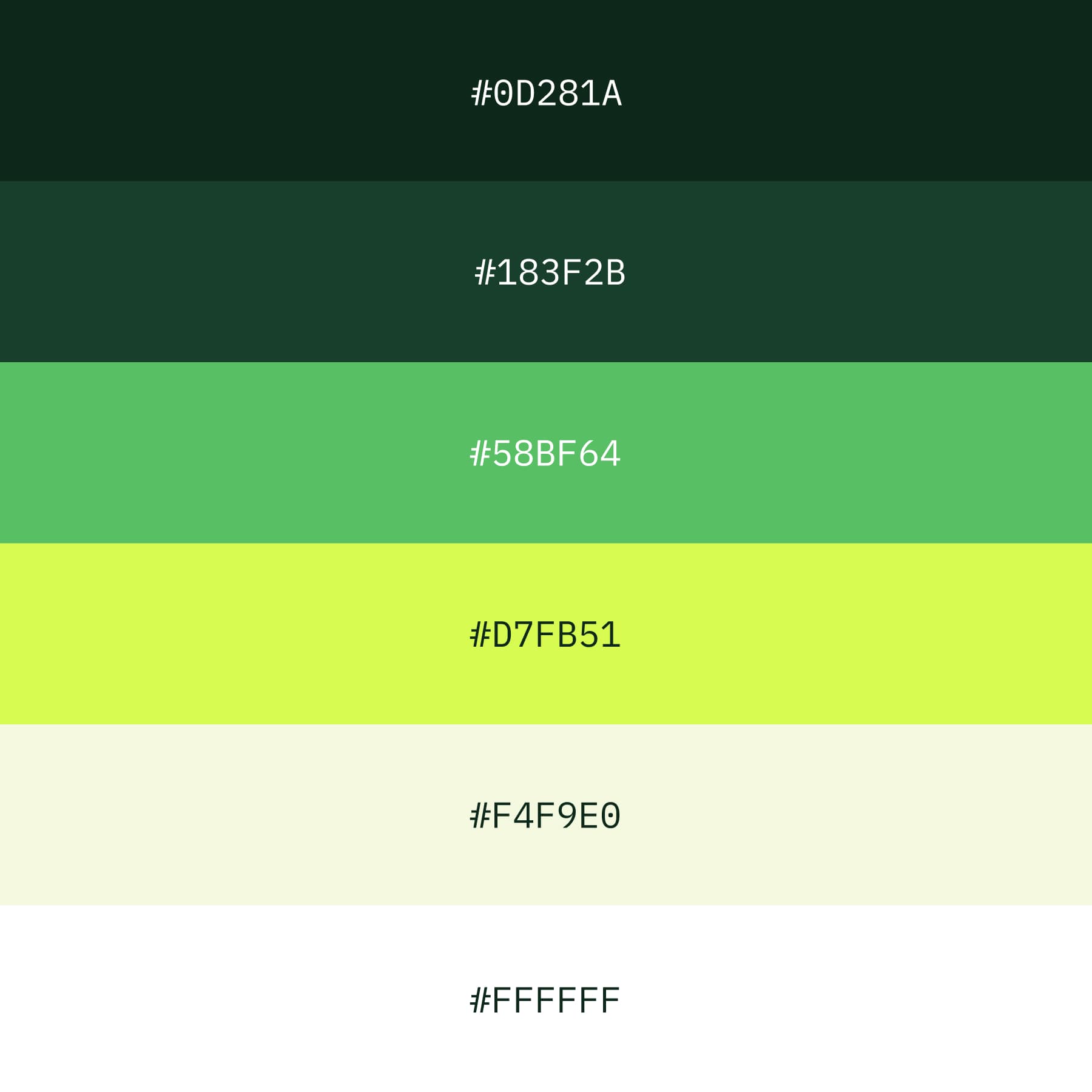 A showcase of the application’s color palette