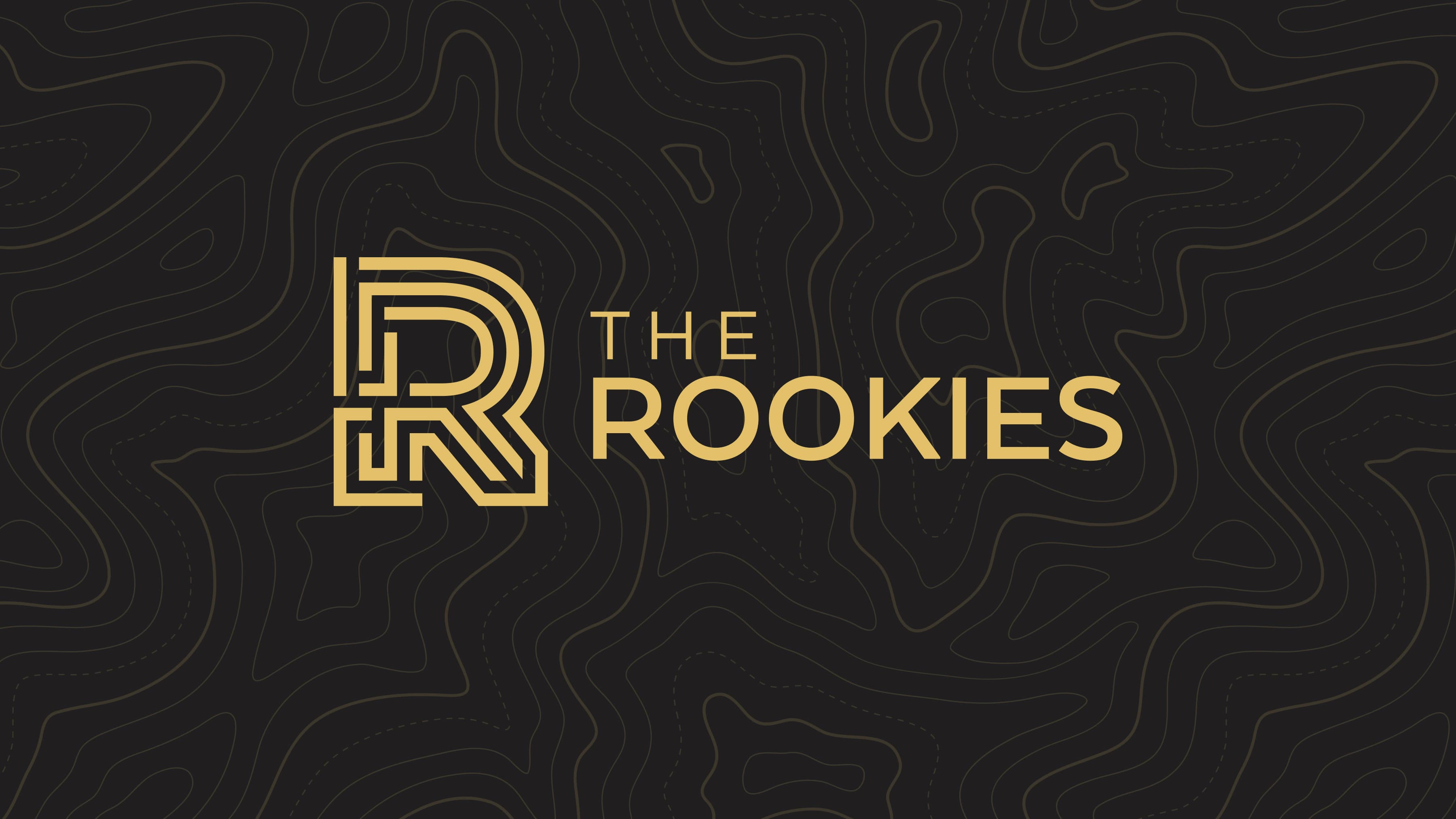 Cover for the The Rookies case study